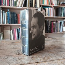 Italo calvino romanzi usato  Italia