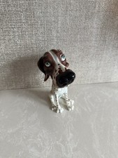 Rare little paws for sale  CROOK