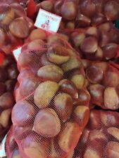 Fresh chestnuts 500g for sale  MANCHESTER