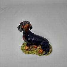 Black tan dachshund for sale  UK
