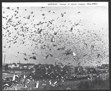 1980 belgium. quievrain d'occasion  Expédié en Belgium