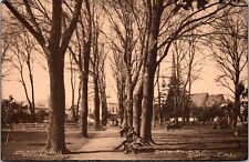 Cartão postal City Plaza Chico California CA Park Benches People Trees Chick’s JC6 comprar usado  Enviando para Brazil