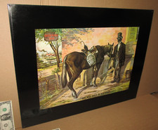 Kentucky whiskey green for sale  USA
