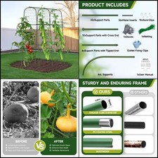 Garden trellis arch for sale  USA
