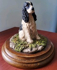 Black white cocker for sale  AMMANFORD