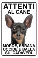 Pinscher attenti cane usato  Roma