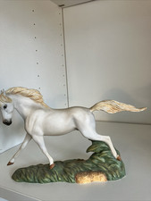 Great horses camargue for sale  BIRMINGHAM