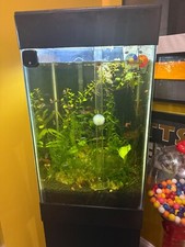Aquariums full setup for sale  Old Bridge