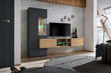 Wohnwand anbauwand wohnzimmer gebraucht kaufen  Northeim