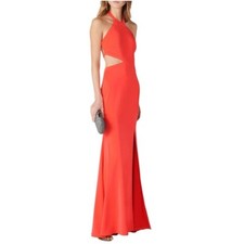 Love theia coral for sale  West Palm Beach