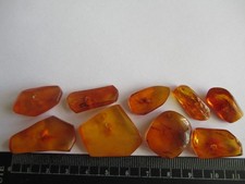 flache steine gebraucht kaufen flache steine gebraucht kaufen Magdeburg