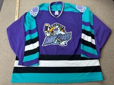 Orlando solar bears for sale  Pensacola