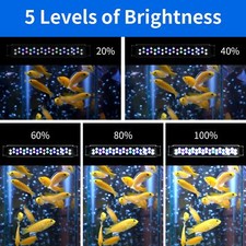 Aquaneat aquarium light for sale  Madison