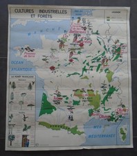 Carte scolaire cultures d'occasion  Château-d'Olonne
