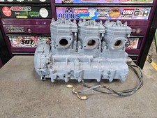 Tiger shark daytona for sale  Interlachen