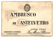 Lambrusco castelvetro bomporto for sale  Pittsburgh