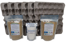 Dubia roach colony for sale  Buffalo