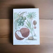 Botanical print coconut for sale  BIRKENHEAD