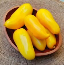 Rare graines tomate d'occasion  Sanary-sur-Mer