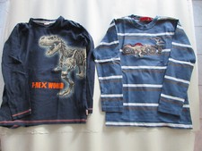 Stück dinosaurier pullover gebraucht kaufen  Arnstadt