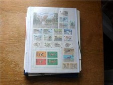birding world for sale birding world for sale UK