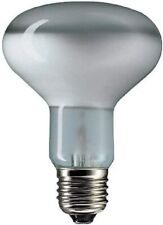 Lampadina r80 faretto usato  Santa Marinella