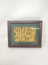 Vintage esche pesca usato  Grugliasco