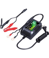 Chargeur batterie skyrich d'occasion  Saint-Christol-lès-Alès