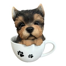 Adorable yorkie pup for sale  Cumberland Center