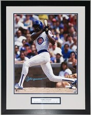 Andre dawson autographed for sale  Wilmette