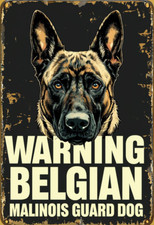 Warning belgian malinois for sale  DUNSTABLE