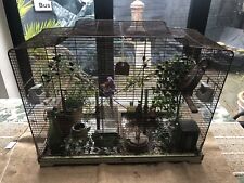 Vintage bird cage for sale  GRAVESEND