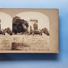 Kork stereoansicht 1855 gebraucht kaufen  Versand nach Germany