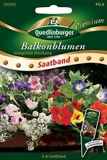 Balkonblumen hängende mischun gebraucht kaufen  Pulheim
