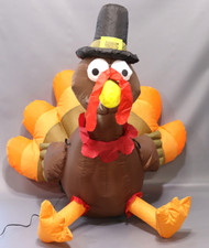 Outdoor pilgrim turkey for sale  USA