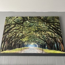 Day tree tunnel for sale  Philadelphia