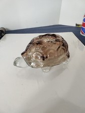 lite shelled holder for sale lite shelled holder for sale Skowhegan