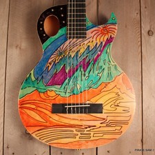 Washburn festival custom d'occasion  Expédié en Belgium