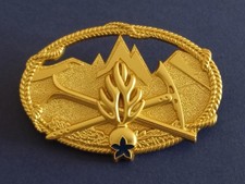Gendarmerie chef caravane d'occasion  Saumur