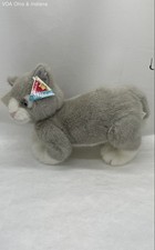 dakin cat for sale  Columbus