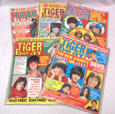 1973 tiger beat for sale  Dover