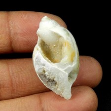 Pedra preciosa fossilizada natural fóssil de caracol drusa rocha concha 40 cts #11105 comprar usado  Enviando para Brazil