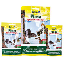 Tetra pleco spirulina for sale  DARTFORD