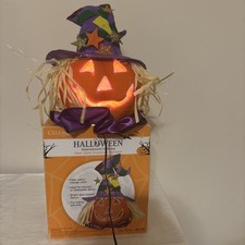 Fiber optic halloween for sale Fiber optic halloween for sale  Blythewood