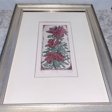 Jay pfeil red for sale  Concord