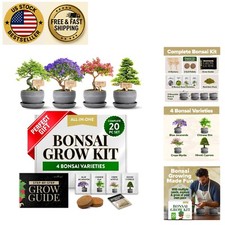 Heirloom bonsai tree for sale  Sunrise Beach