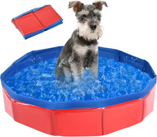 Piscina per cani usato  Roma