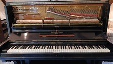 Rare antique 1880 for sale  Avon