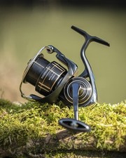 Daiwa tournament match for sale  STURMINSTER NEWTON