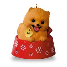 Puppy love 2016 for sale  San Juan Capistrano